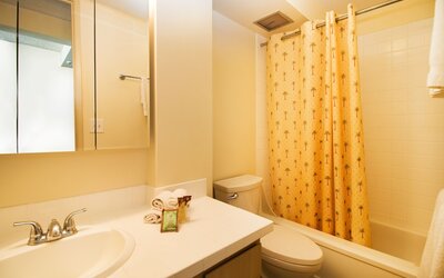Renovated Pacific Monarch Studio Near Waikiki Beach