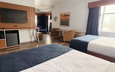 Hotel L'Oie des neiges