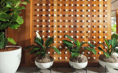 The Laylow Waikiki, Autograph Collection