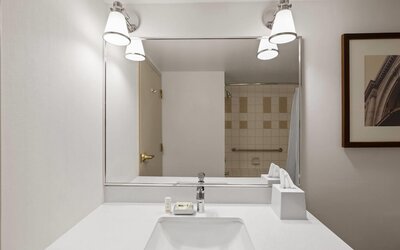 Lakeview Signature, Trademark Collection by Wyndham
