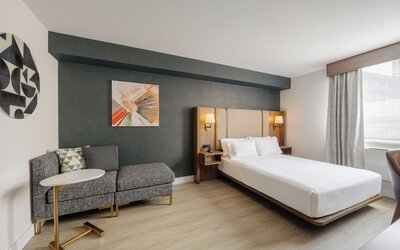 Standard Room, 1 King Bed with Sofa bed