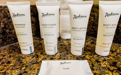 Radisson Hotel Winnipeg Downtown