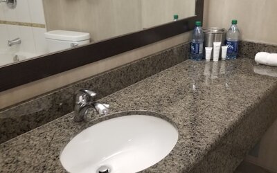 Radisson Hotel Winnipeg Downtown