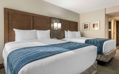 Comfort Inn & Suites Downtown Brickell - Port of Miami