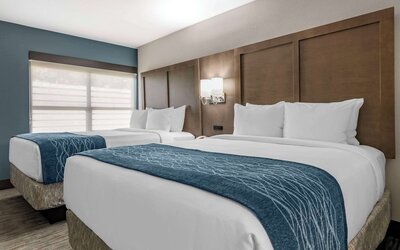 Comfort Inn & Suites Downtown Brickell - Port of Miami