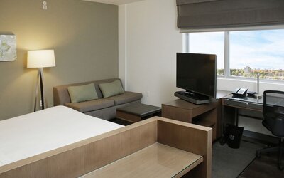 Executive Suite, 1 Bedroom