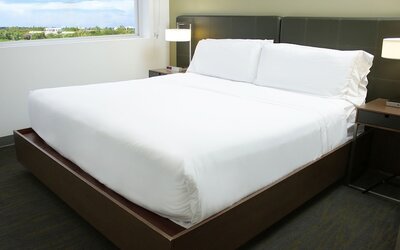 Studio, 2 Queen Beds