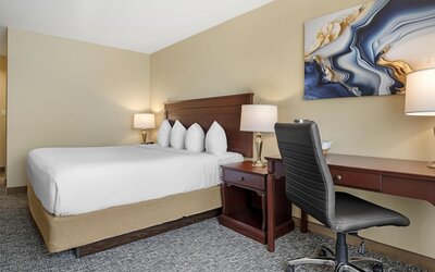 Best Western Plus Fredericton Hotel & Suites
