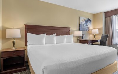 Best Western Plus Fredericton Hotel & Suites