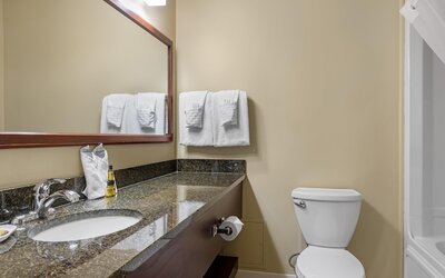 Best Western Plus Fredericton Hotel & Suites