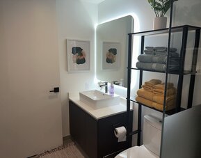 Premier Studio with King Bed and Queen Sofa-bed