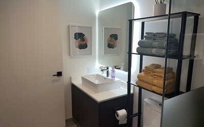 Premier Studio with King Bed and Queen Sofa-bed