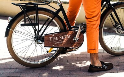 The Setai