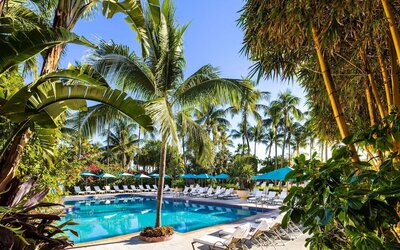The Palms Hotel & Spa