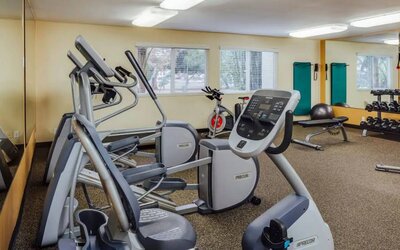 Fitness facility available at Wild Palms Hotel.