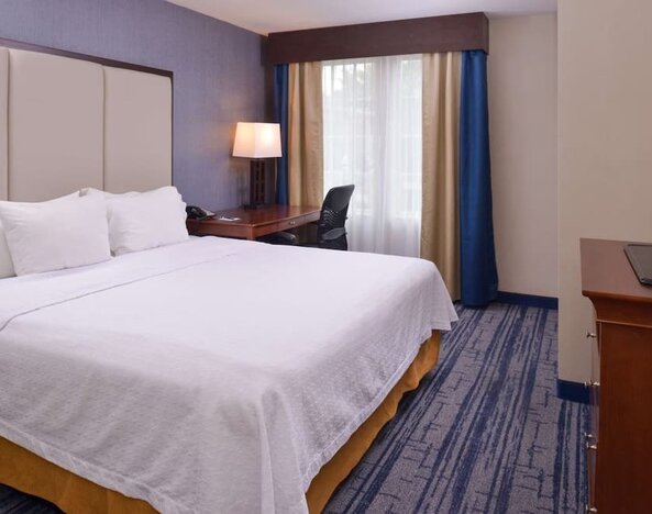 King bed with TV and natural light at Homewood Suites By Hilton Dallas-Lewisville.