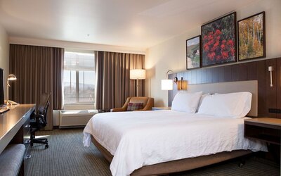 Hilton Garden Inn Boise/Eagle