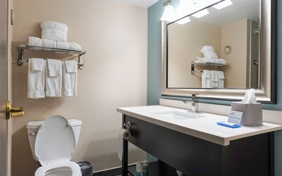 Holiday Inn Express Boise - University Area by IHG