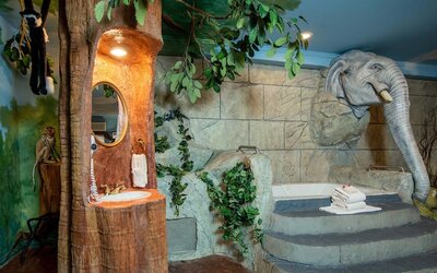 Anniversary Inn - Boise