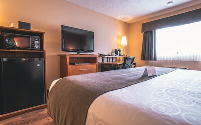 Quality Inn and Suites