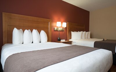 Quality Inn and Suites