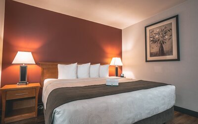 Quality Inn and Suites