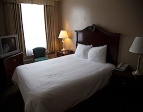 Hotel Senator