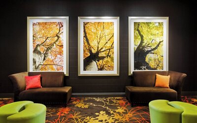 Sheraton Springfield Monarch Place Hotel