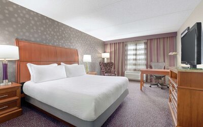 Hilton Garden Inn-Springfield, MA