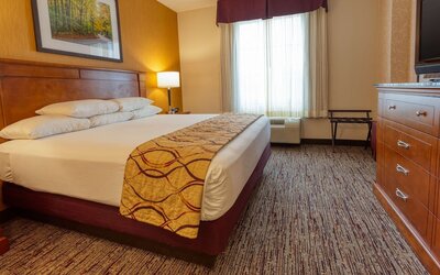 Drury Inn & Suites Indianapolis Northeast
