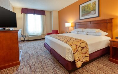Drury Inn & Suites Indianapolis Northeast