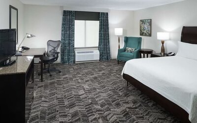 King bed with natural light at Hilton Garden Inn Dothan.
