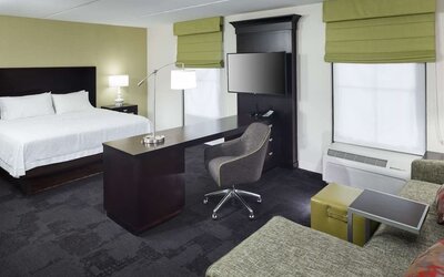 Delux king room with natural light at Hampton Inn & Suites Gainesville-Downtown.