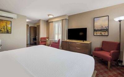 Hotel 11, MOD A Sonesta Collection