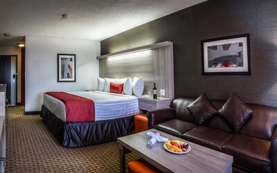 Best Western Plus Village Park Inn