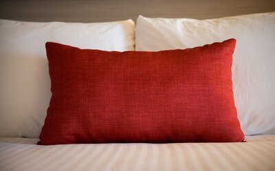 Best Western Plus Village Park Inn