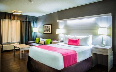 Best Western Plus Village Park Inn