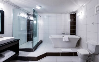 Best Western Plus Village Park Inn