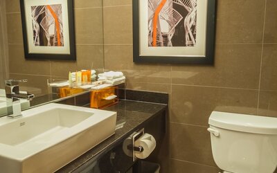 Best Western Plus Village Park Inn