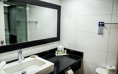 Best Western Plus Village Park Inn