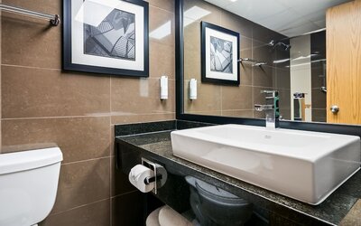 Best Western Plus Village Park Inn