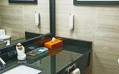 Best Western Plus Village Park Inn