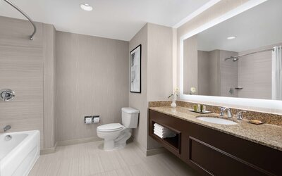 Hilton Indianapolis Hotel & Suites