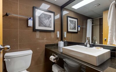 Best Western Plus Village Park Inn