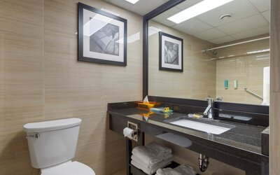 Best Western Plus Village Park Inn