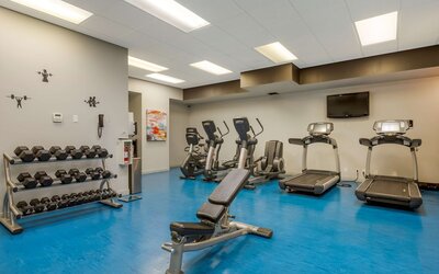 Best Western Plus Village Park Inn
