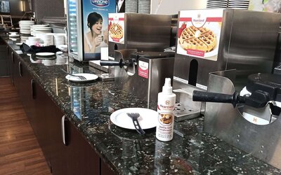 Best Western Plus Village Park Inn