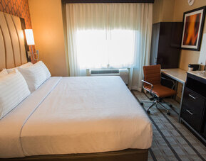 Holiday Inn Times Square