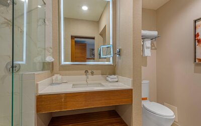 Radisson Hotel & Conference Centre Calgary Airport