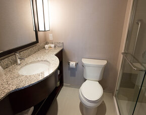 Holiday Inn Times Square